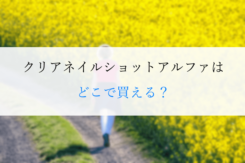 どこで買える？放浪しているシーン